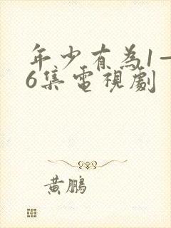 年少有为1—36集电视剧封面