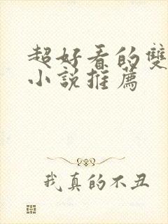 超好看的双男主小说推荐