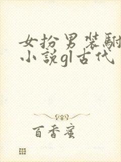女扮男装驸马的小说gl古代