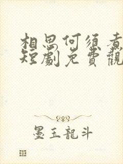 相思何须煮余年短剧免费观看