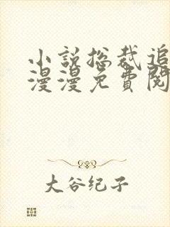 小说总裁追妻路漫漫免费阅读