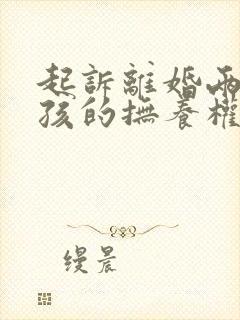 起诉离婚两个小孩的抚养权怎么判封面