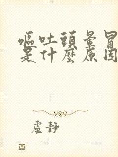 呕吐头晕冒虚汗是什么原因