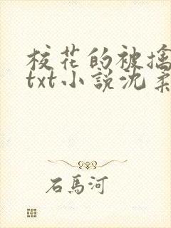 校花的被擒日常txt小说沈柔免费阅读