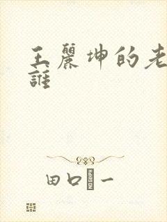 王丽坤的老公是谁