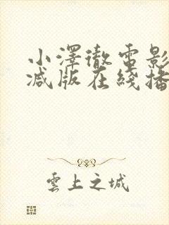 小泽彻电影无删减版在线播放