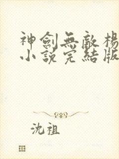 神剑无敌杨小天小说完结版