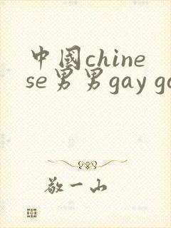 中国chinese男男gay gay网站封面