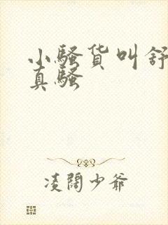 小骚货叫舒服了真骚