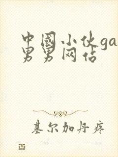 中国小伙gay男男网站