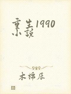 重生1990 小说封面