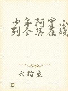 少年阿宾小说系列全集在线阅读