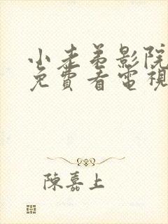 小老弟影院高清免费看电视剧