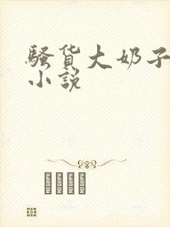 骚货大奶子言情小说