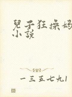 儿子狂操妈妈的小说