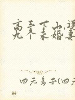 高手下山,退婚九个未婚妻