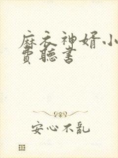 麻衣神婿小说免费听书