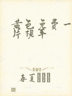 黄色免费一级淫片视平