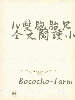 1v双胞胎兄弟全文阅读小说