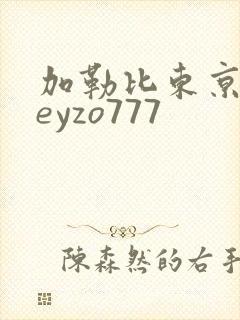 加勒比东京热heyzo777封面