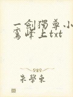 一剑独尊小说青鸾峰上txt