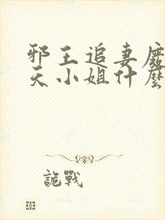 邪王追妻废材逆天小姐什么时候写的