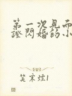 第一次见面就领证闪婚的小说