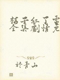 桔子红了电视剧全集剧情免费观看