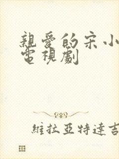 亲爱的宋小姐 电视剧