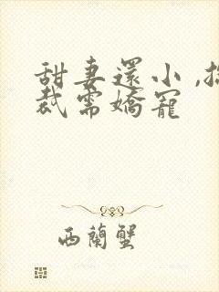 甜妻还小 ,总裁需娇宠