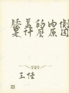 膝盖的内侧疼痛是什么原因