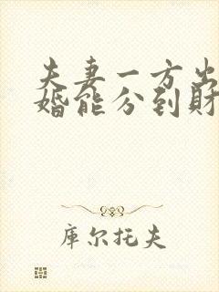 夫妻一方出轨离婚能分到财产吗