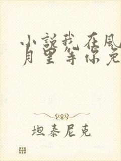 小说我在风花雪月里等你免费阅读