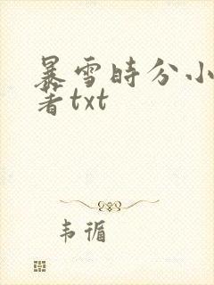 暴雪时分小说原著txt封面