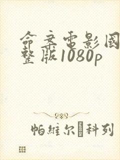 命案电影国语完整版1080p