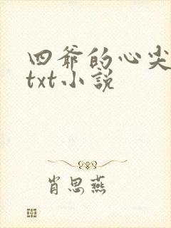 四爷的心尖宠妃txt小说