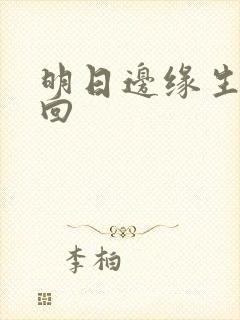 明日边缘生死轮回封面