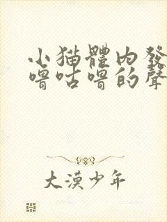 小猫体内发出咕噜咕噜的声音