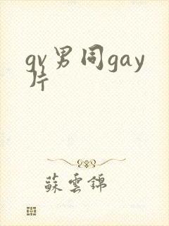 gv男同gay片