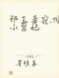 邪王毒宠,倾城小医妃