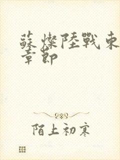 苏灿陆战东最新章节