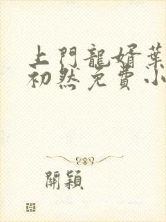 上门龙婿叶辰萧初然免费小说阅读