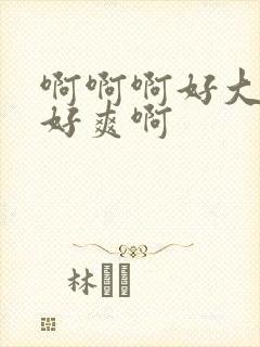 啊啊啊好大好硬好爽啊封面
