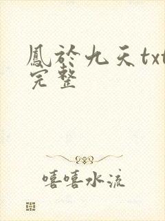 凤于九天txt完整