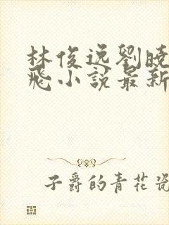 林俊逸刘晓莉双飞小说最新章节更新