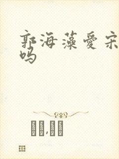 郭海藻爱宋思明吗封面