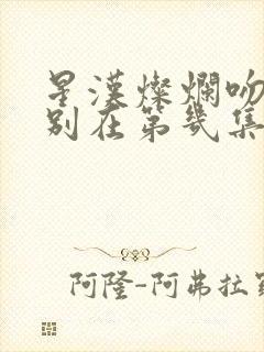 星汉灿烂吻戏分别在第几集