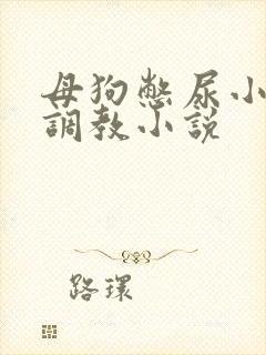 母狗憋尿小尿奴调教小说封面
