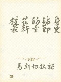 校花的贴身高手最新章节更新封面