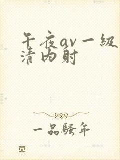 午夜av一级高清内射